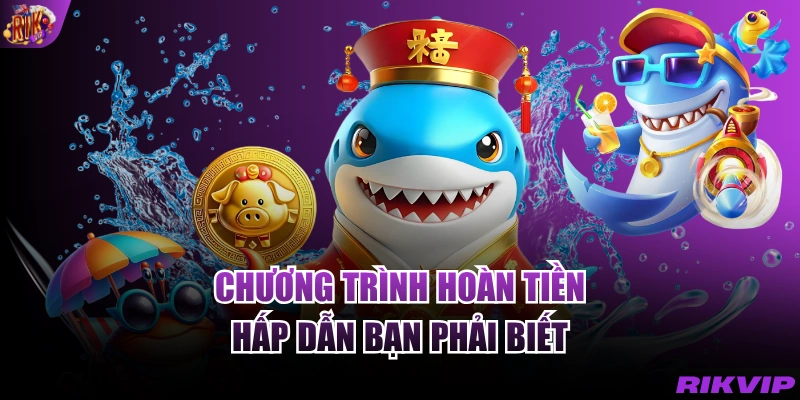 Chương trình hoàn tiền hấp dẫn bạn phải biết