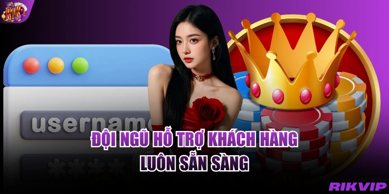 Đội ngũ hỗ trợ khách hàng luôn sẵn sàng