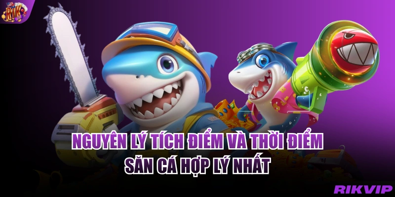 Nguyên lý tích điểm và thời điểm săn cá hợp lý nhất